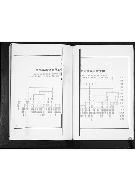 山东吕氏-吕氏族谱.pdf电子版插图2 山东吕氏-吕氏族谱.pdf电子版插图2