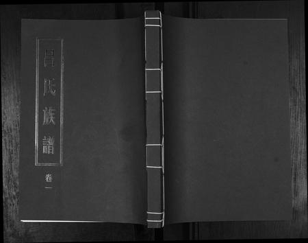 山东吕氏-吕氏族谱[4卷].pdf电子版插图