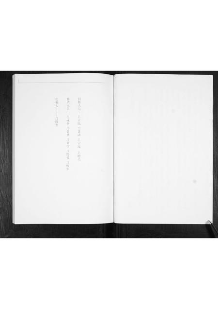 山东吕氏-吕氏谱志[不分卷].pdf电子版插图4