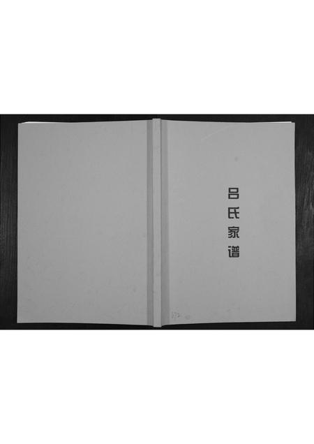 广西吕氏-吕氏家谱.pdf电子版插图