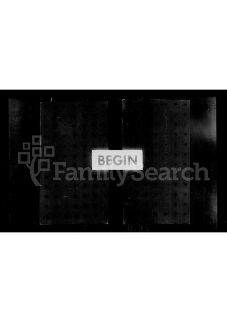 4519.新城王氏家乘.pdf电子版