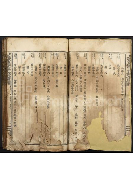 4526.天台黄雾王氏宗谱 [残卷].pdf电子版插图2