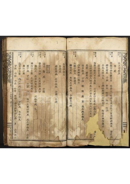 4526.天台黄雾王氏宗谱 [残卷].pdf电子版插图3