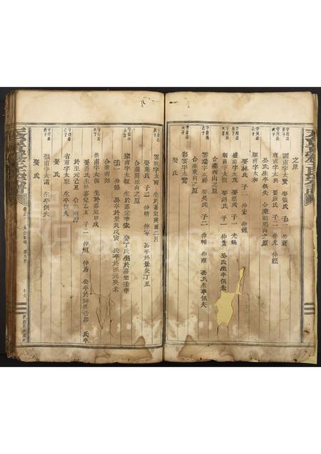 4526.天台黄雾王氏宗谱 [残卷].pdf电子版插图4