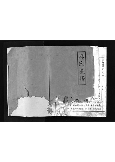 山东麻氏-麻氏族谱 [3卷](别名：Ma Shi Zu Pu).pdf电子版插图2