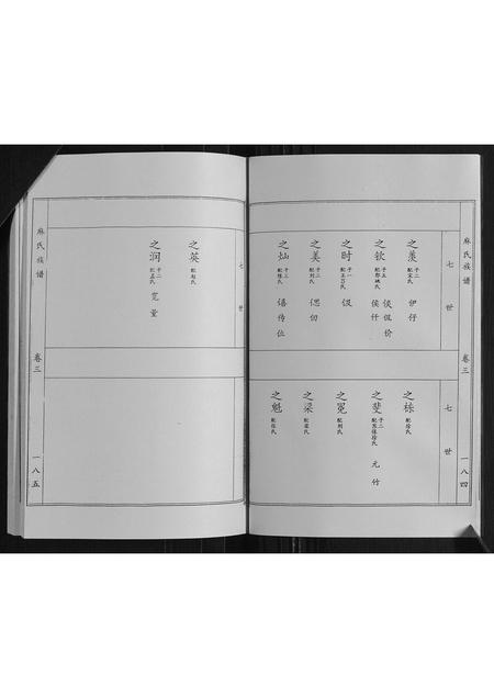 山东麻氏-麻氏族谱 [3卷].pdf电子版插图4
