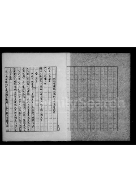 4529.浙江省嵊县土块乡王氏家谱节录.pdf电子版插图3