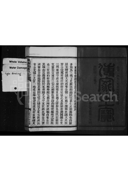 4531.太原郡王氏宗谱.pdf电子版插图2