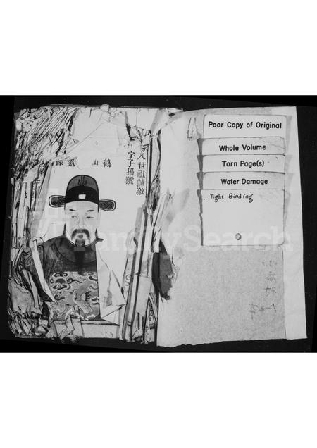 4533.太原郡王氏宗谱(别名：uniform title).pdf电子版插图1