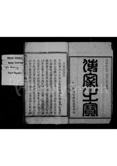 4534.太原郡王氏家谱.pdf电子版插图2