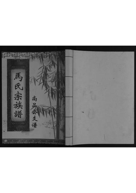 四川马氏-马氏宗族谱[不分卷].pdf电子版插图