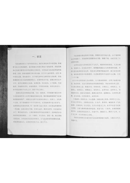 四川马氏-马氏族谱[不分卷].pdf电子版插图3