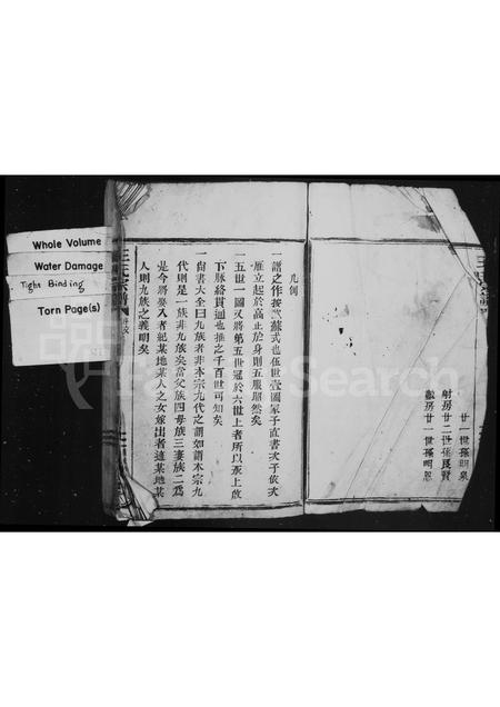 4538.王氏宗谱.pdf电子版插图1