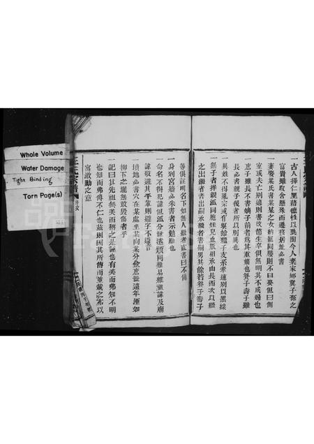 4538.王氏宗谱.pdf电子版插图2