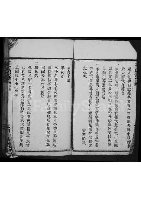 4538.王氏宗谱.pdf电子版插图3