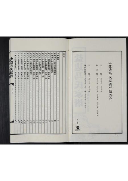 四川马氏-盐边马氏家谱 [不分卷].pdf电子版插图2
