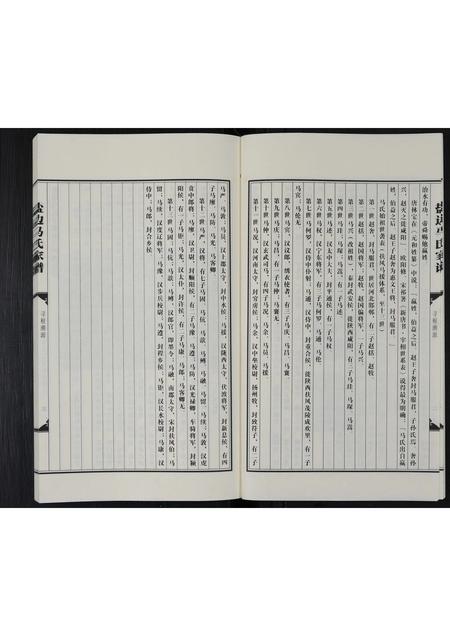 四川马氏-盐边马氏家谱 [不分卷].pdf电子版插图5