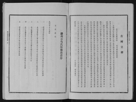 山东马氏-古滕马氏续修族谱.pdf电子版插图3