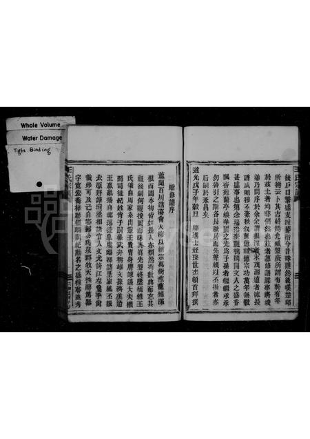 4540.王氏宗谱.pdf电子版插图1