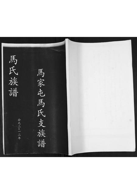 山东马氏-马家屯马氏支支谱[不分卷].pdf电子版插图