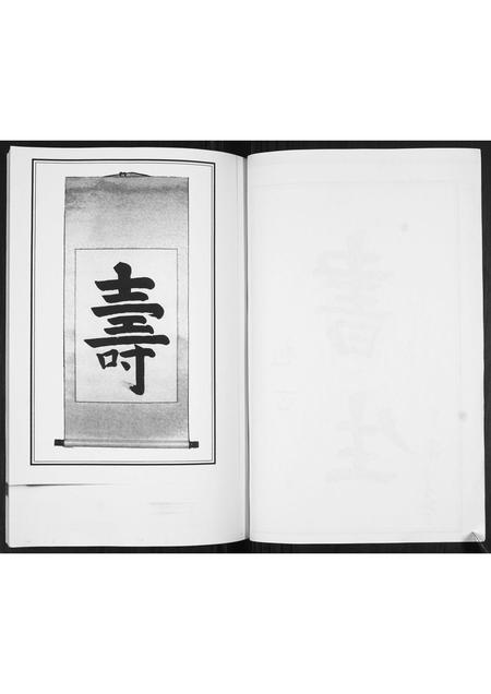 山东马氏-马家屯马氏支支谱[不分卷].pdf电子版插图2