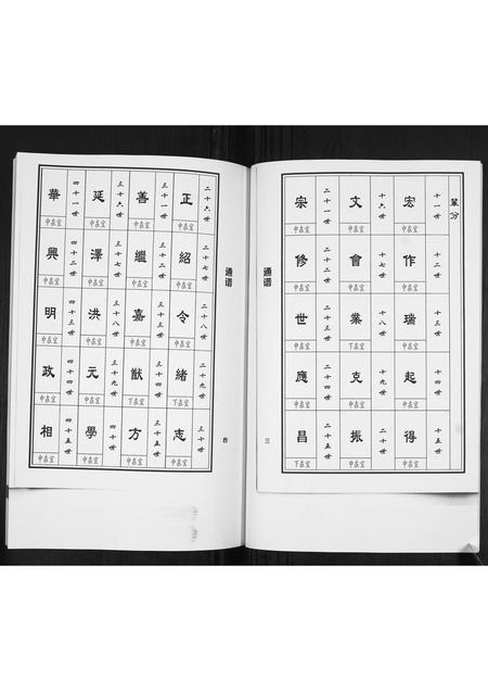 山东马氏-马家屯马氏支支谱[不分卷].pdf电子版插图5