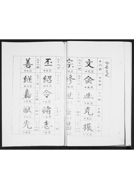 山东马氏-马氏支谱[不分卷].pdf电子版插图4