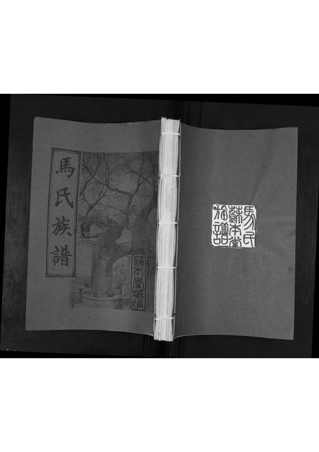 山东马氏-马氏族谱.pdf电子版