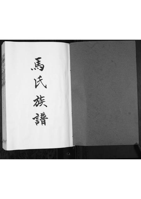 山东马氏-马氏族谱.pdf电子版插图1 山东马氏-马氏族谱.pdf电子版插图1