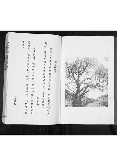 山东马氏-马氏族谱.pdf电子版插图2 山东马氏-马氏族谱.pdf电子版插图2
