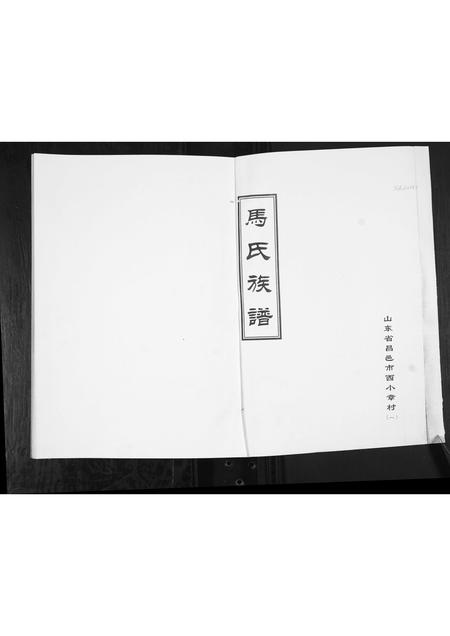 山东马氏-马氏族谱[6卷].pdf电子版插图1