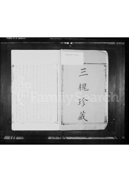 4552.上洋王氏族谱(别名：泗溪王氏族谱).pdf电子版插图4