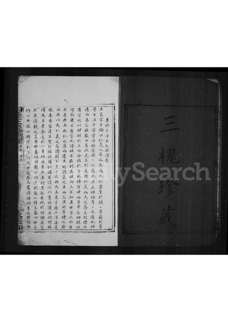 4552.上洋王氏族谱(别名：泗溪王氏族谱).pdf电子版插图5