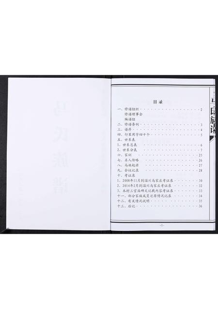 山东马氏-马氏族谱[不分卷].pdf电子版插图2