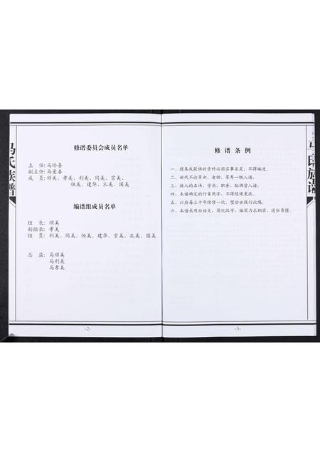 山东马氏-马氏族谱[不分卷].pdf电子版插图3