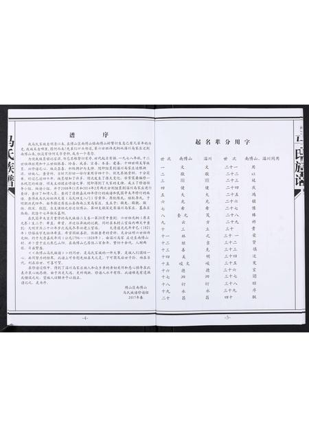 山东马氏-马氏族谱[不分卷].pdf电子版插图4