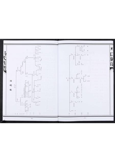 山东马氏-马氏族谱[不分卷].pdf电子版插图5