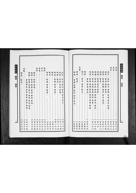 山东马氏-马氏族谱[不分卷].pdf电子版插图4