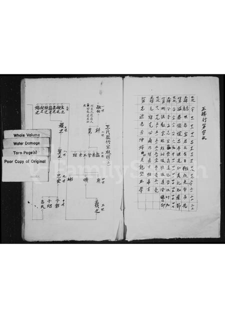 4554.坑底王氏房谱.pdf电子版插图1