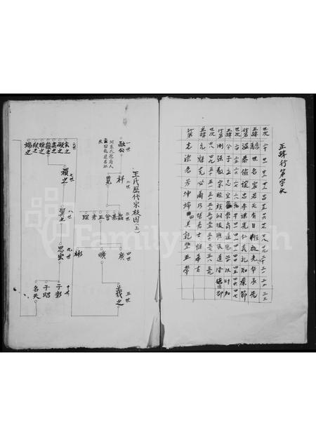 4554.坑底王氏房谱.pdf电子版插图2