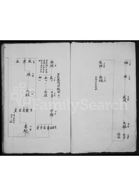 4554.坑底王氏房谱.pdf电子版插图3