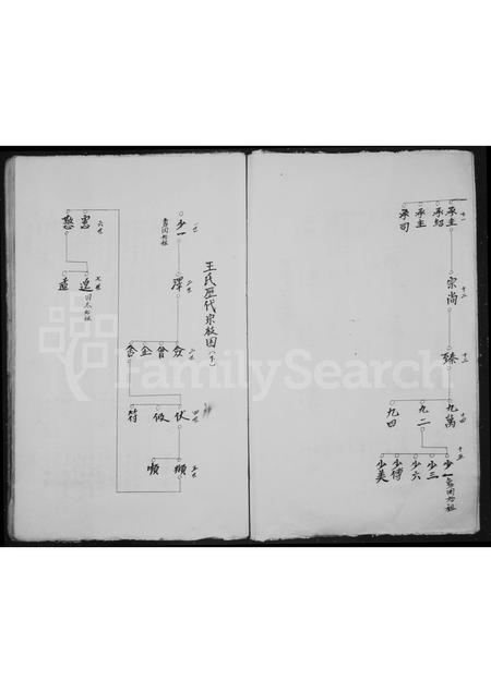 4554.坑底王氏房谱.pdf电子版插图4