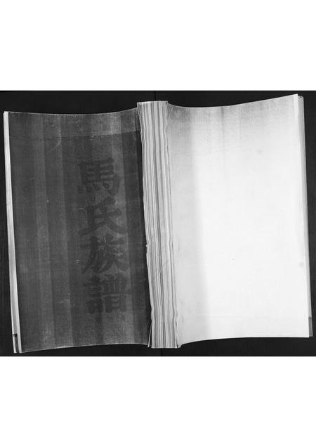 山东马氏-马氏族谱[不分卷].pdf电子版插图