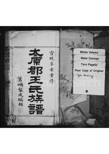 4555.太原郡王氏族谱 [4卷].pdf电子版插图1