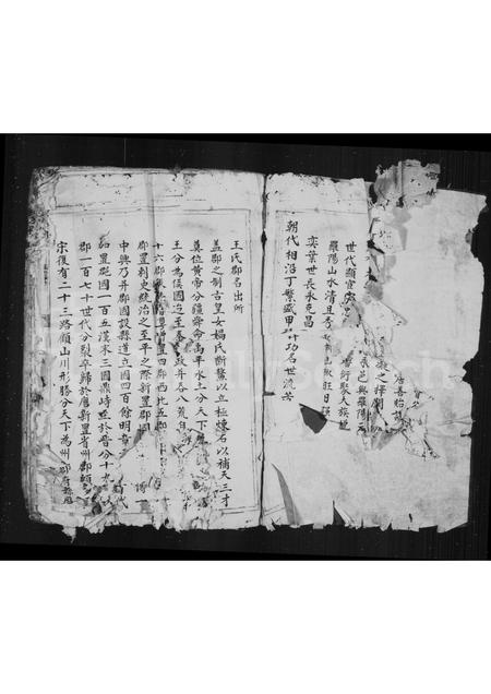 4556.宅里王氏族谱.pdf电子版插图2