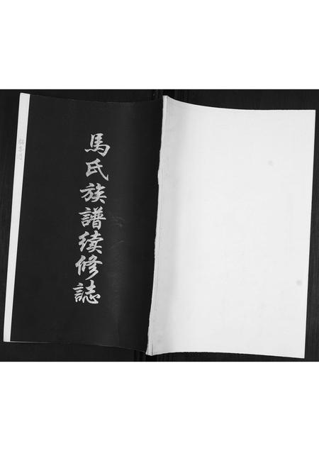 山东马氏-马氏族谱续修志[不分卷].pdf电子版插图