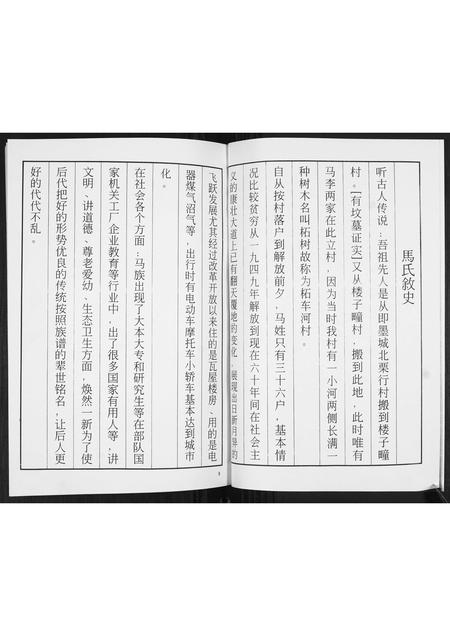 山东马氏-马氏族谱续修志[不分卷].pdf电子版插图4