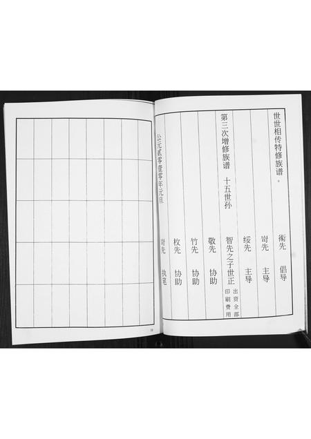 山东马氏-马氏族谱续修志[不分卷].pdf电子版插图5