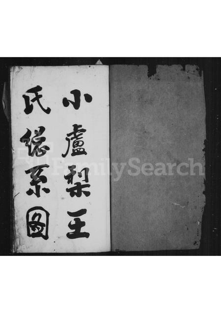 4557.小卢梨王氏房谱(别名：王氏家乘).pdf电子版插图1