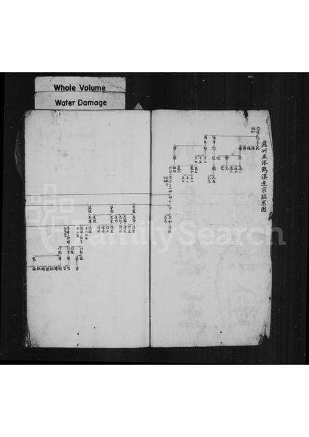 4557.小卢梨王氏房谱(别名：王氏家乘).pdf电子版插图2